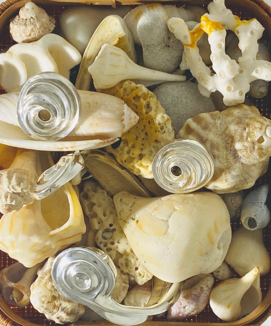 #shellmagnifique... Looking x inspiration? #newproductscomingsoon...