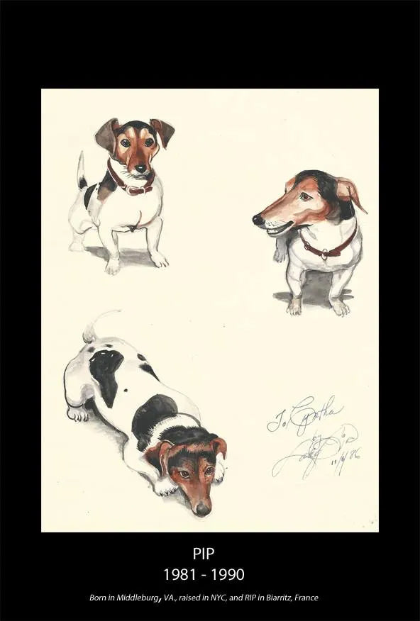 The Day of the Dead Moon... by Barbara Dillon