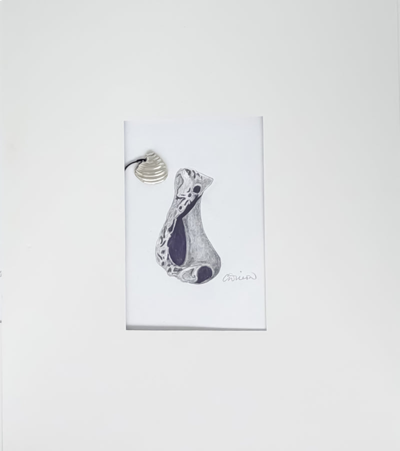 Pendant and Print ~ Sculpted Shell in Sterling silver