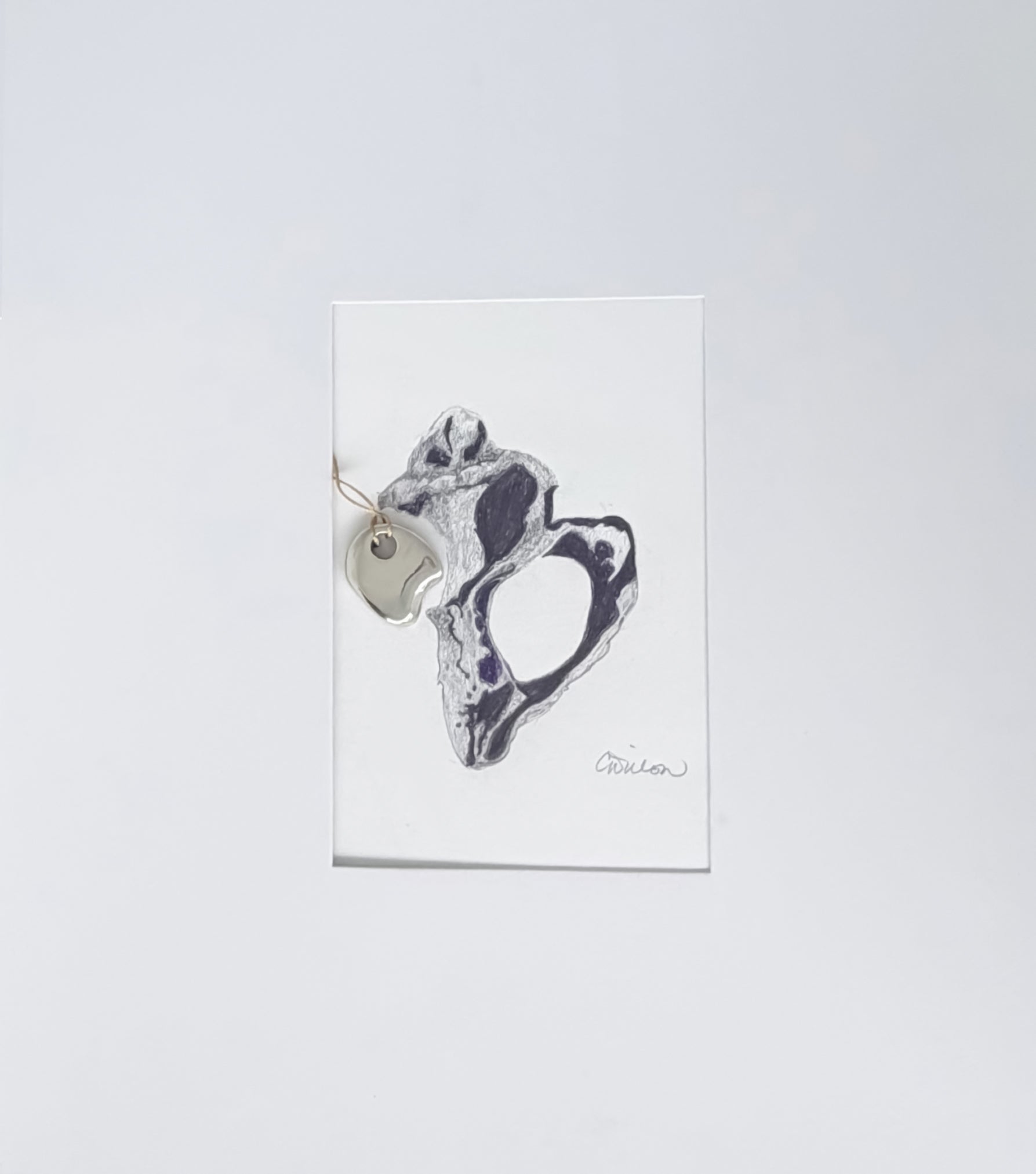Pendant and Print ~  Freeform Piece in Sterling Silver and Shell