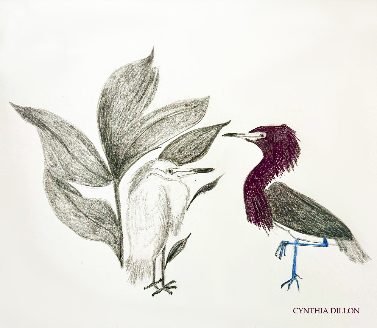 Drawing ~  Proposal: Opposites Atract