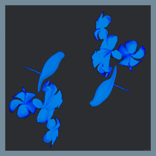 Shawl - "Blue Birds" in Silk - DiolunDesigns