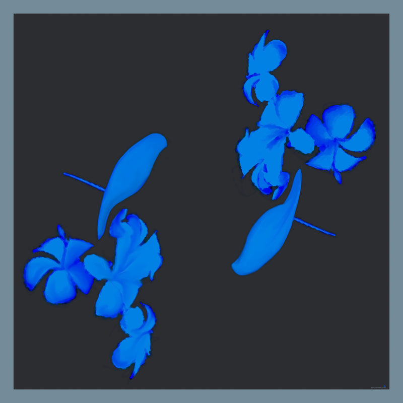 Shawl - "Blue Birds" in Silk - DiolunDesigns